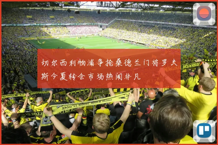 切尔西利物浦争抢桑德兰门将罗夫斯今夏转会市场热闹非凡